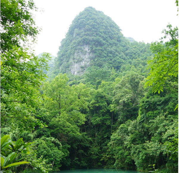 賞華夏大地，游多彩貴州-－2021年廣東博皓快樂行-2