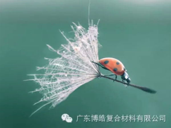 【博皓感悟】成功，要&ldquo;借力&rdquo;，不要&ldquo;盡力&rdquo;